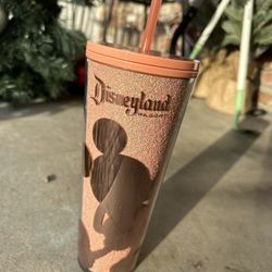 Disney Tumbler