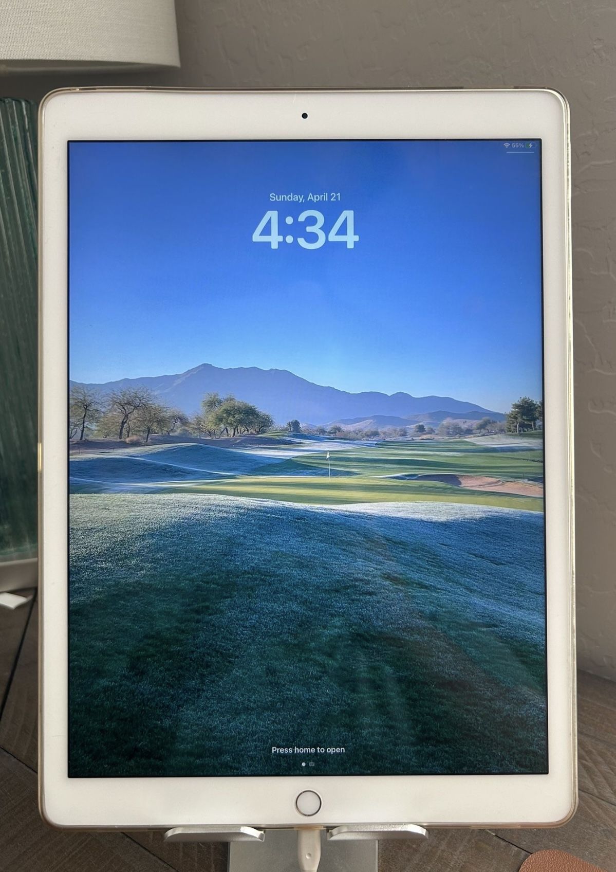iPad Pro (12.9 inch)