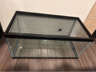 40 gallon tank