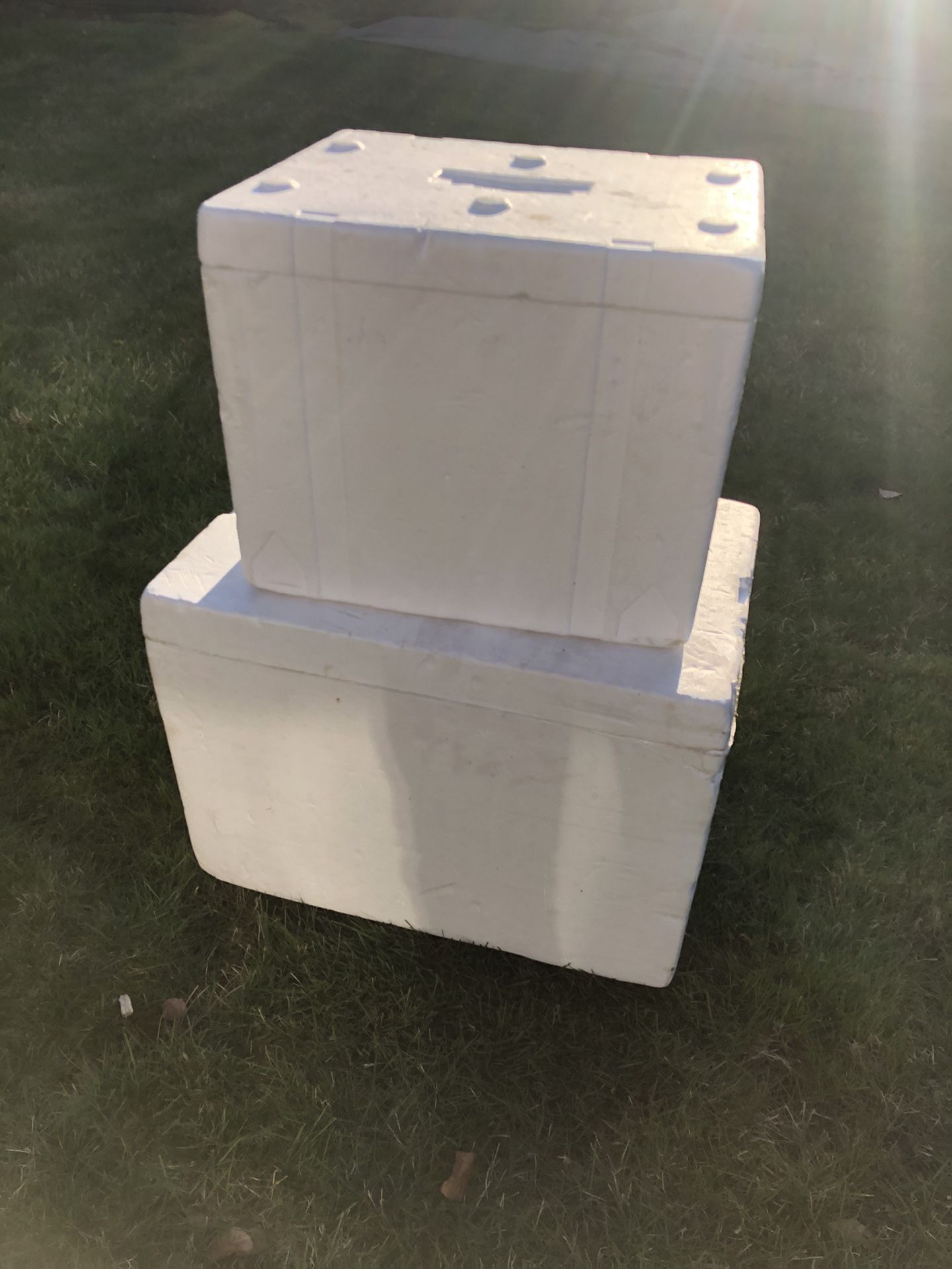 Styrofoam cooler - Free