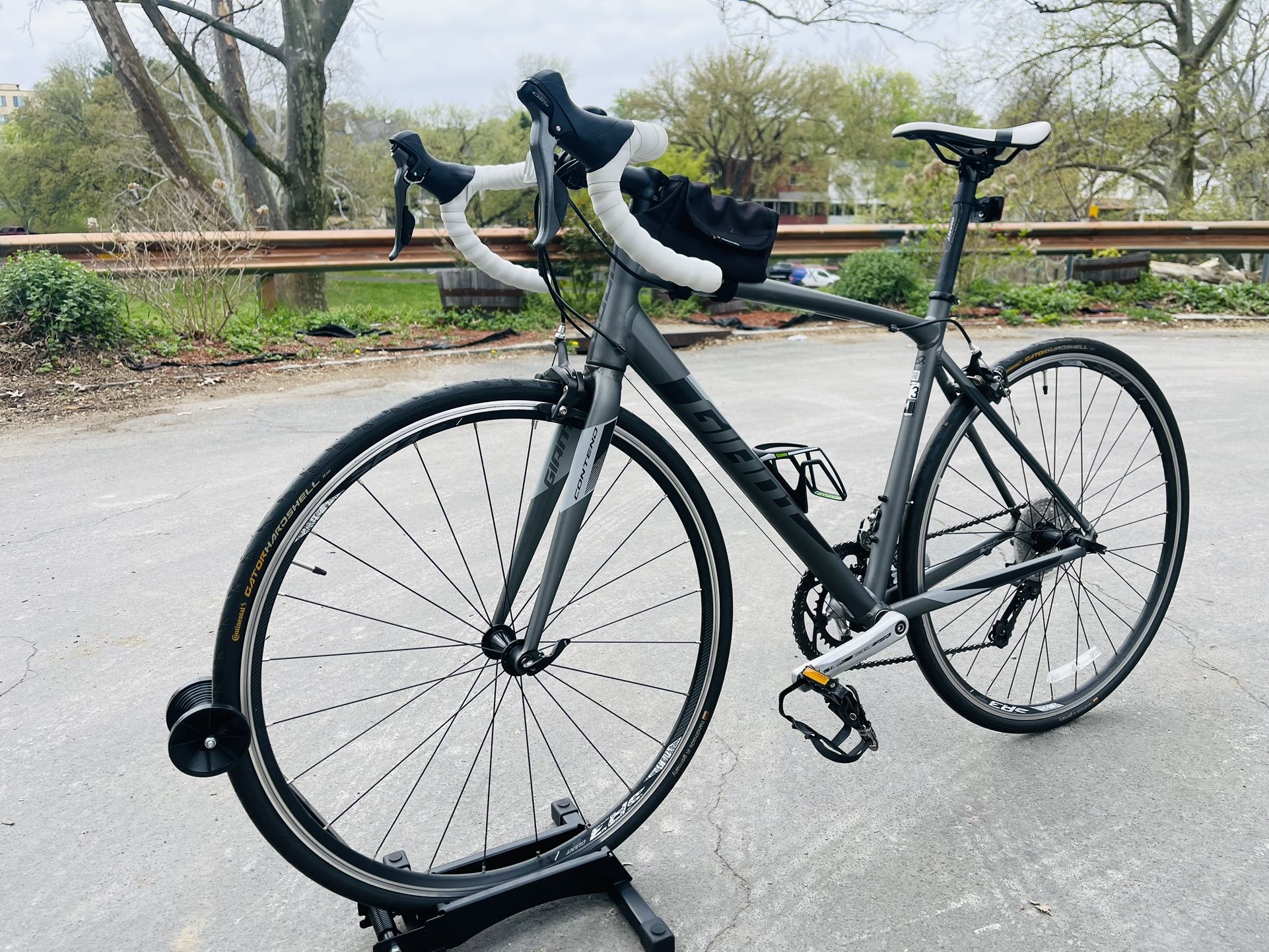 Beautiful Bicycle Giant Road Bike