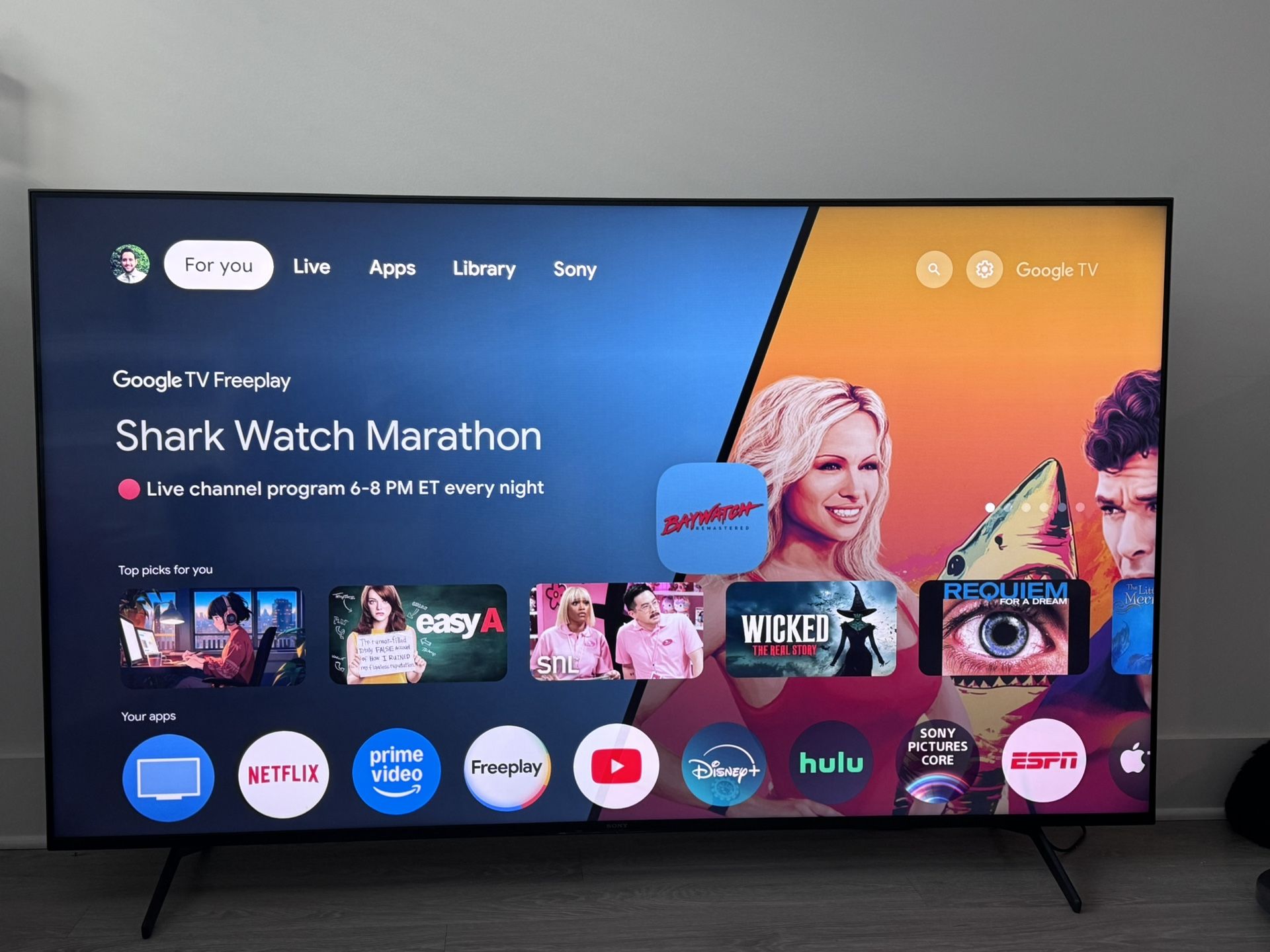 75” Sony Flatscreen TV