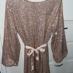 Rose Gold Sequin Dress
