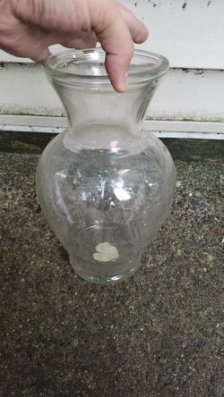 Beta fish vase