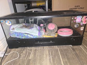 Hamster cage with supplies
