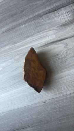 Vintage petrified wood
