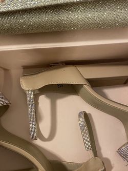 Nude Speaking Pink Shoes With Matching Bag