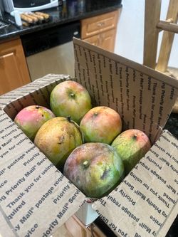 Box of 6 Home Grown Mangos