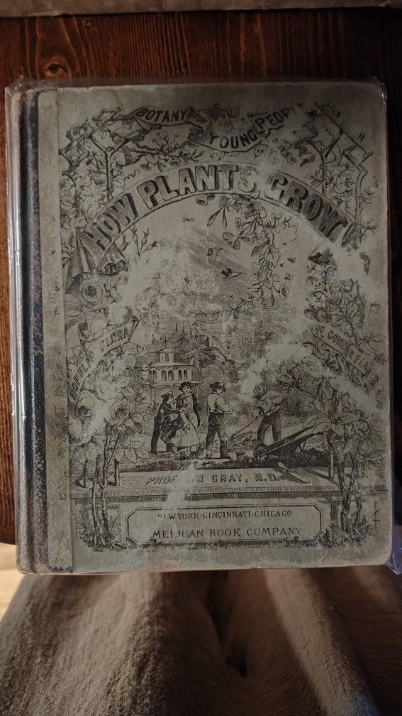 Botany For Young People How Plants https://offerup.com/redirect/?o=R3Jvdy5Cb29r 19th Century 