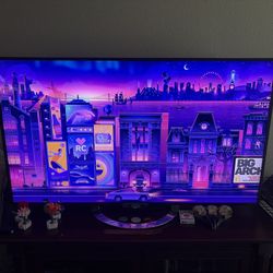 Sony Batavia 49 Inch TV