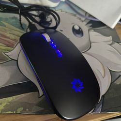 Wireless Mouse W/ LED Lights 