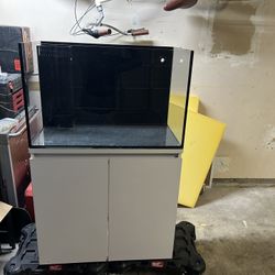 40 Gallon Rimless Salt Water Tank With Stand