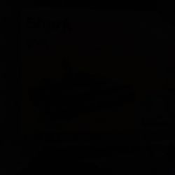 FLOOR AND CARPET CLEANER