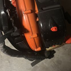 Echo backpack blower