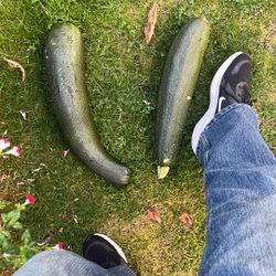 Good to make zucchini bread picked the 19th
