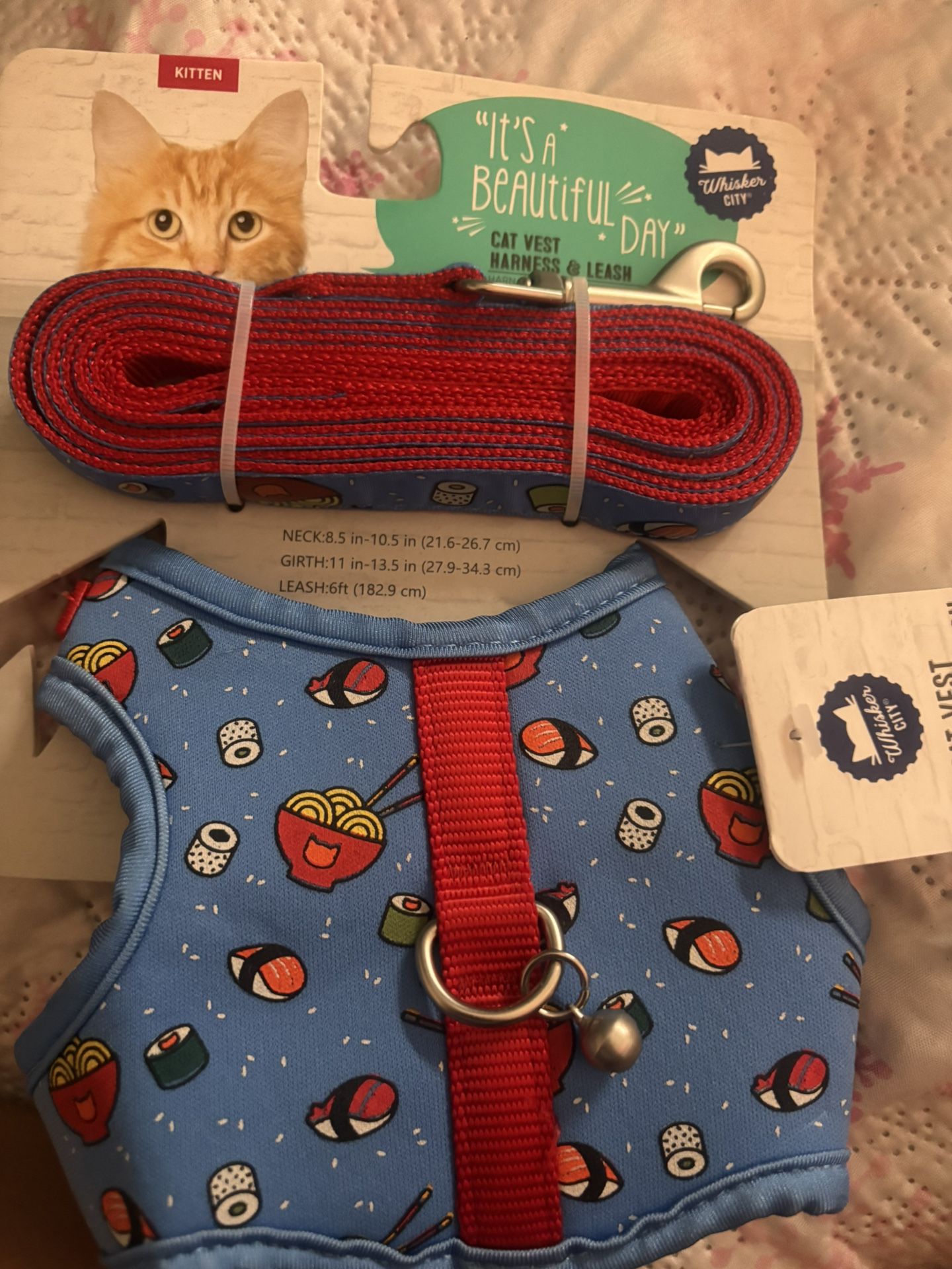 For Cats