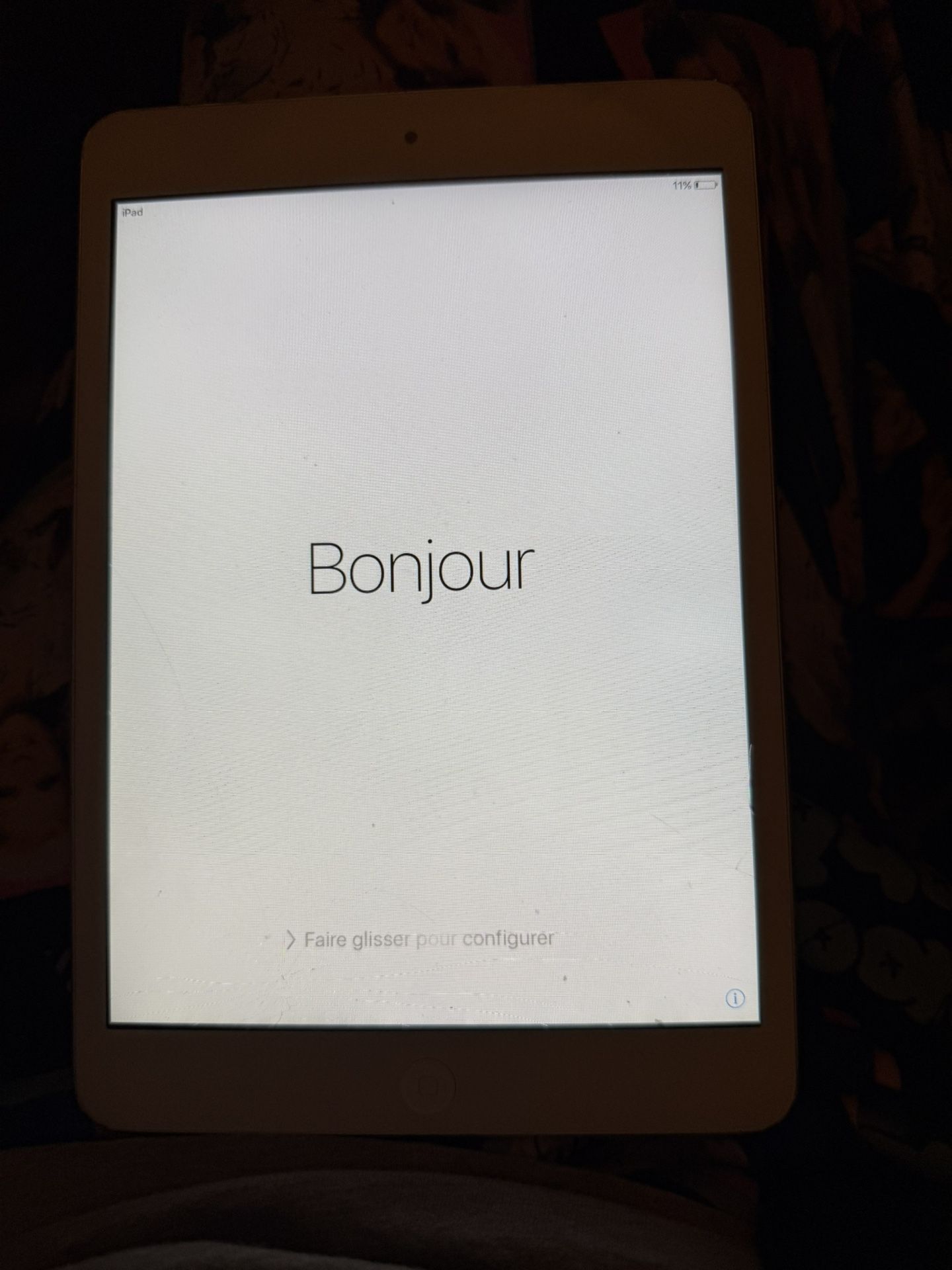 Ipad Mini