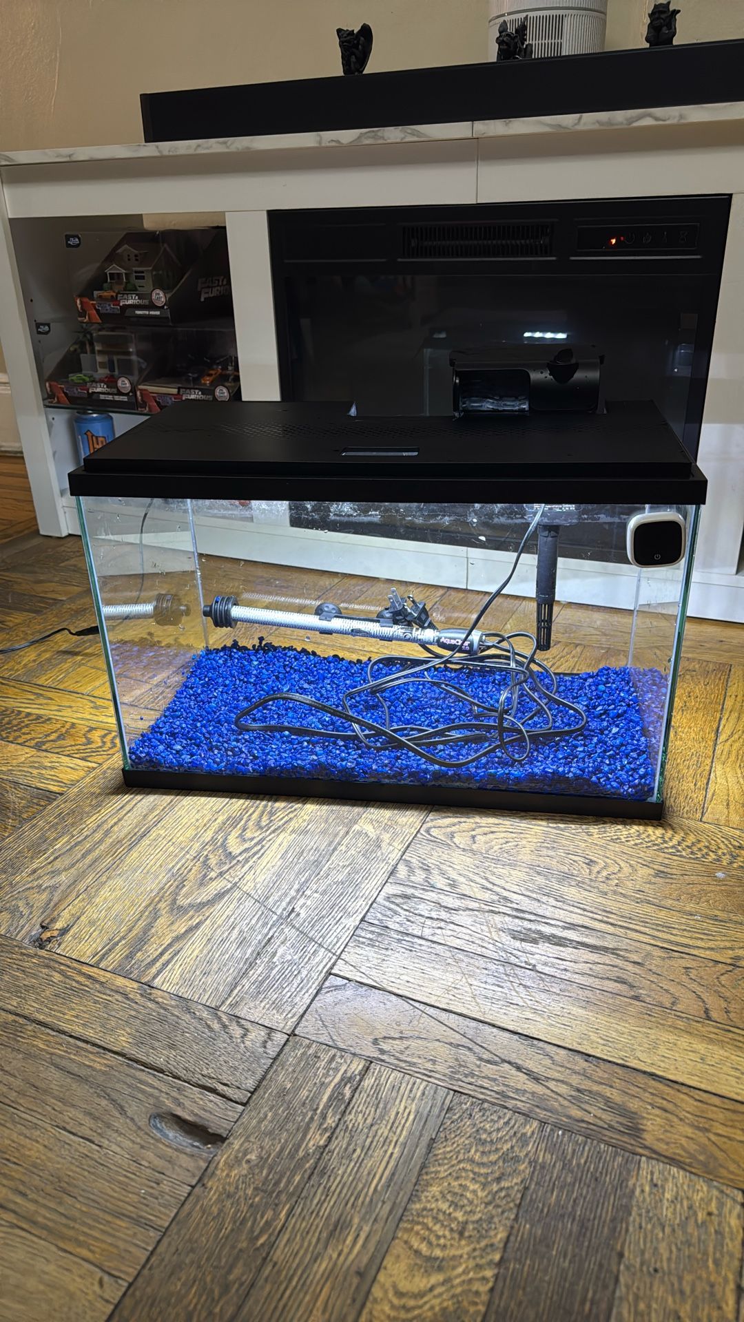 10 Gallon Fish Tank