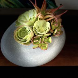 Succulent Arrangement