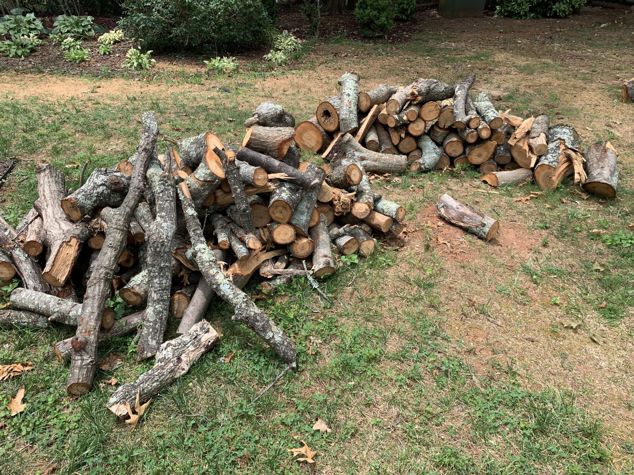 Free Firewood