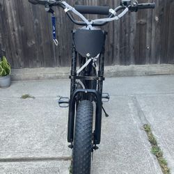 ridstar Q20 