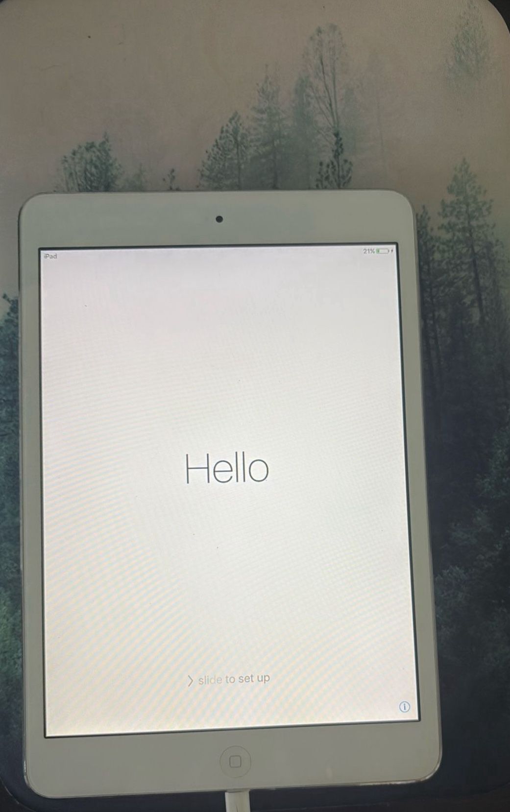 Amazing Condition! iPad Mini (1st Generation) 16 GB