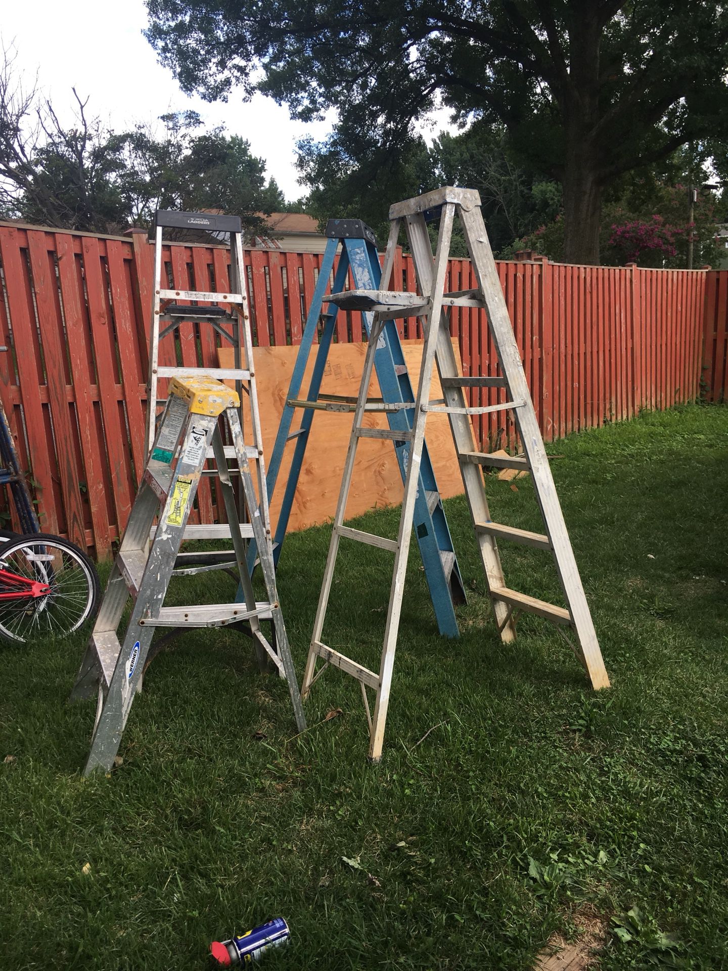 Ladders all for one price