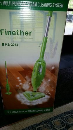 Steam cleaning system