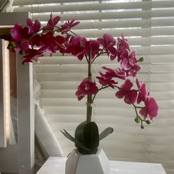 Planta Artificial 