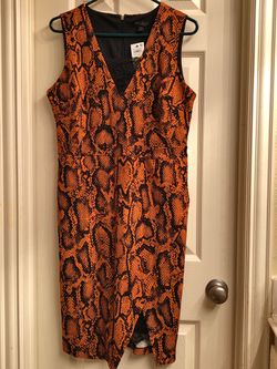 Dress(burnt orange with animal print)