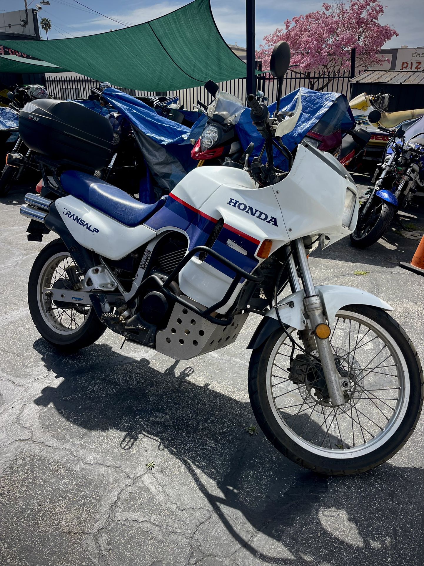 1989 and 1996 Honda TransAlp - XL600V