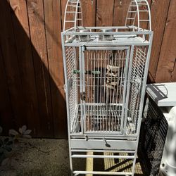 Bird Cage 