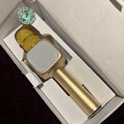 Karaoke Magic Microphone 