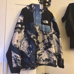 Supreme North Face Mountain Jacket