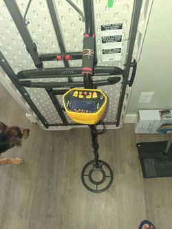 Metal detectors for gold