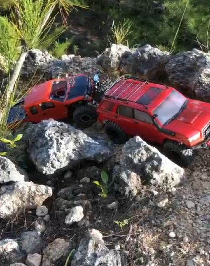 Team Associated Trail Runner 