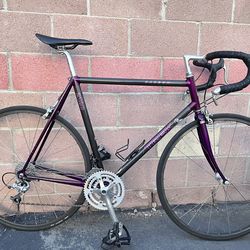 Carbon Fiber Trek Road Bike 56cm