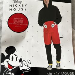Disney Mickey Mouse Sweater & Sweats - Brand new!