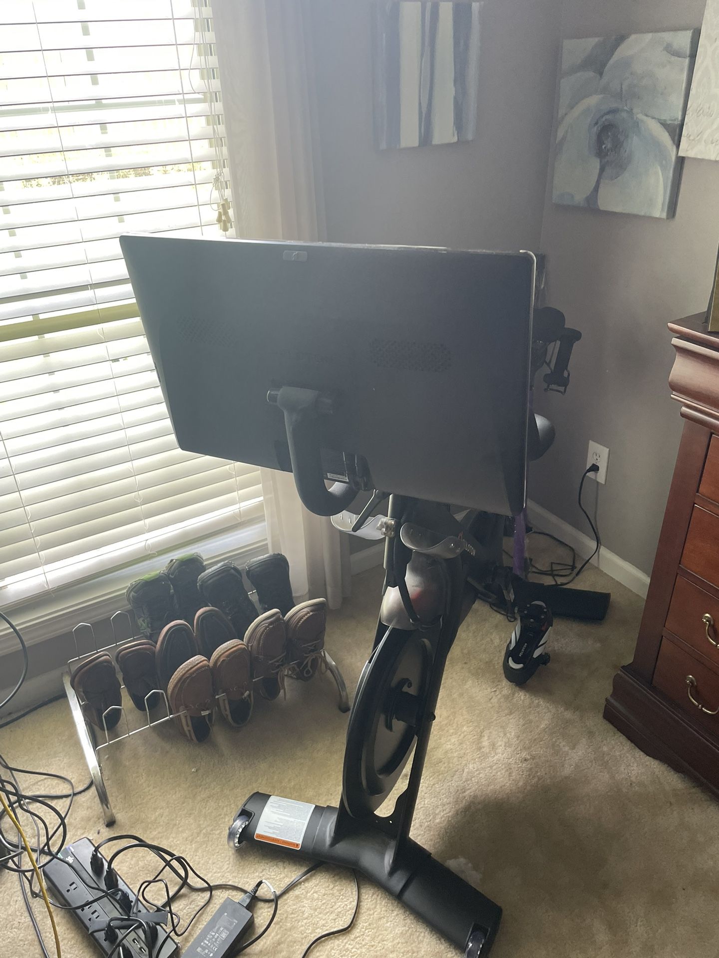 2020 Peloton Excellent Condition