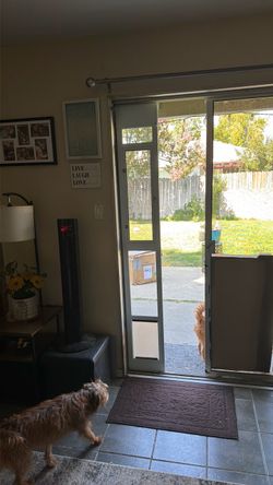 Dog door