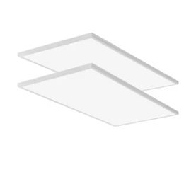 Lithonia Lighting CPANL 2 ft. x 4 ft. LED Flat Panel, Semi-Gloss White (2-Pack)