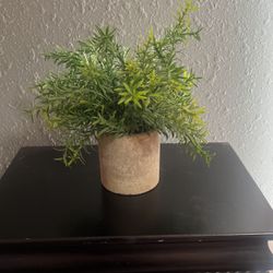 mini plant(fake)