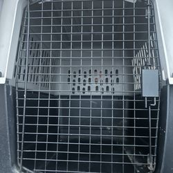XL Dog Kennel 