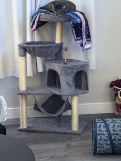 Cat hotel