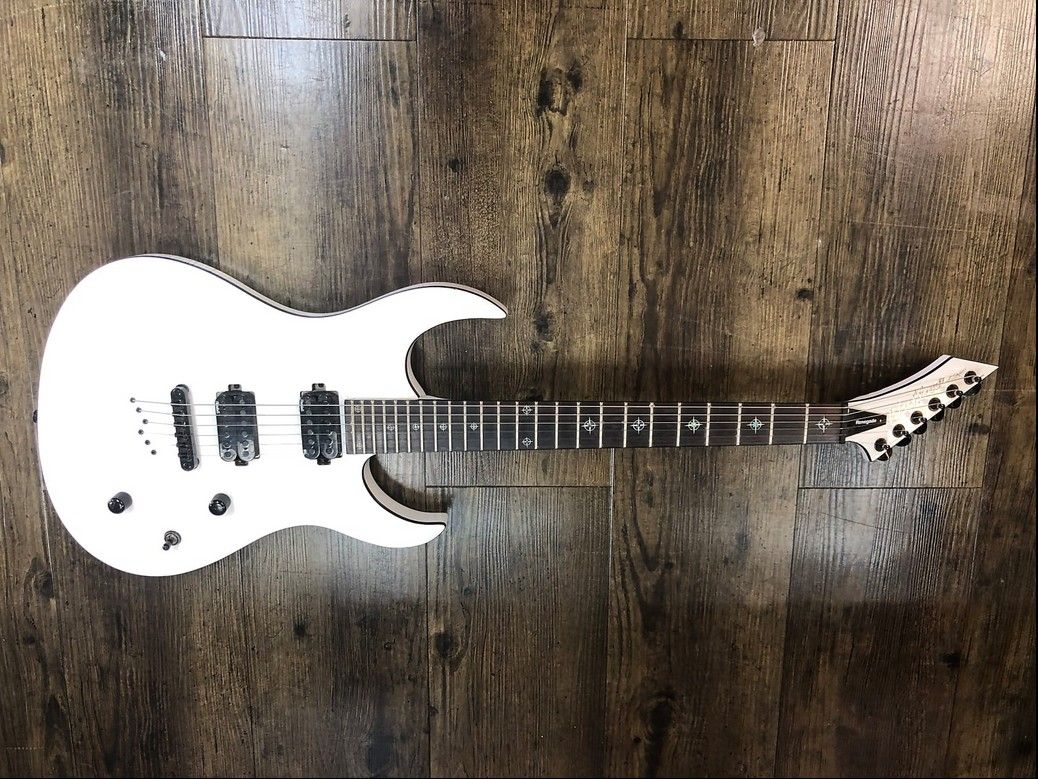 Washburn Renegade HM Series WM 24 