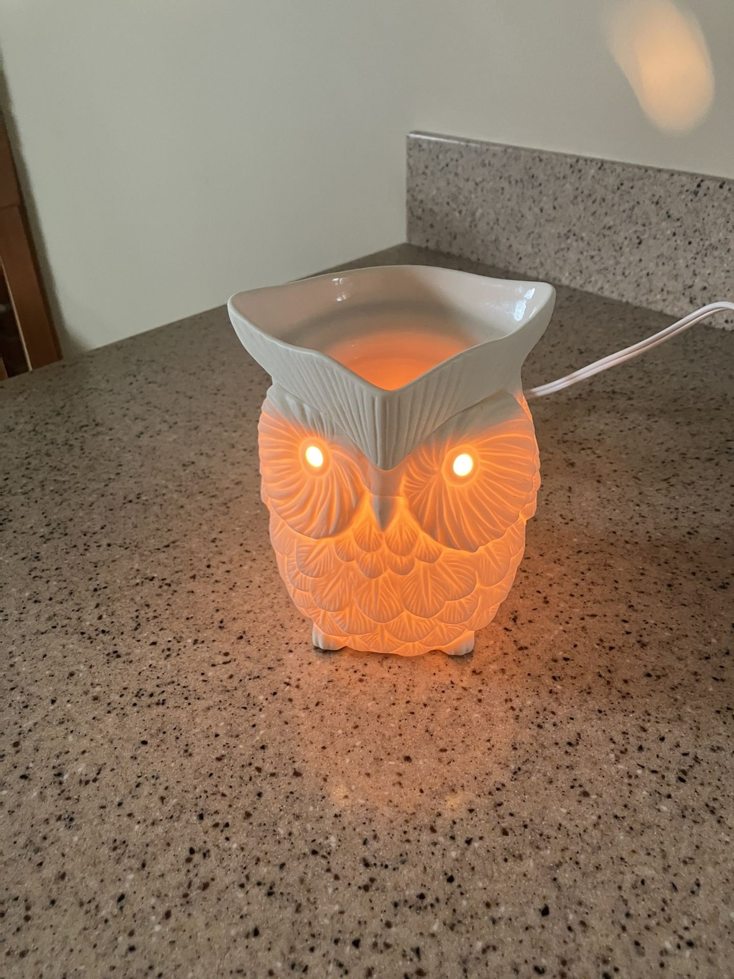Scentsy Ceramic Owl Wax Warmer Never Used No Box