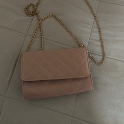Pink Purse 