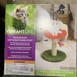 Cat Scratching Post-New In box