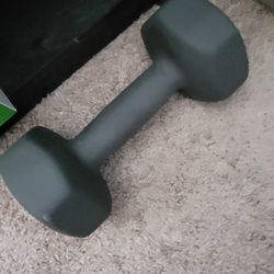 Two 15lbs Dumbells 