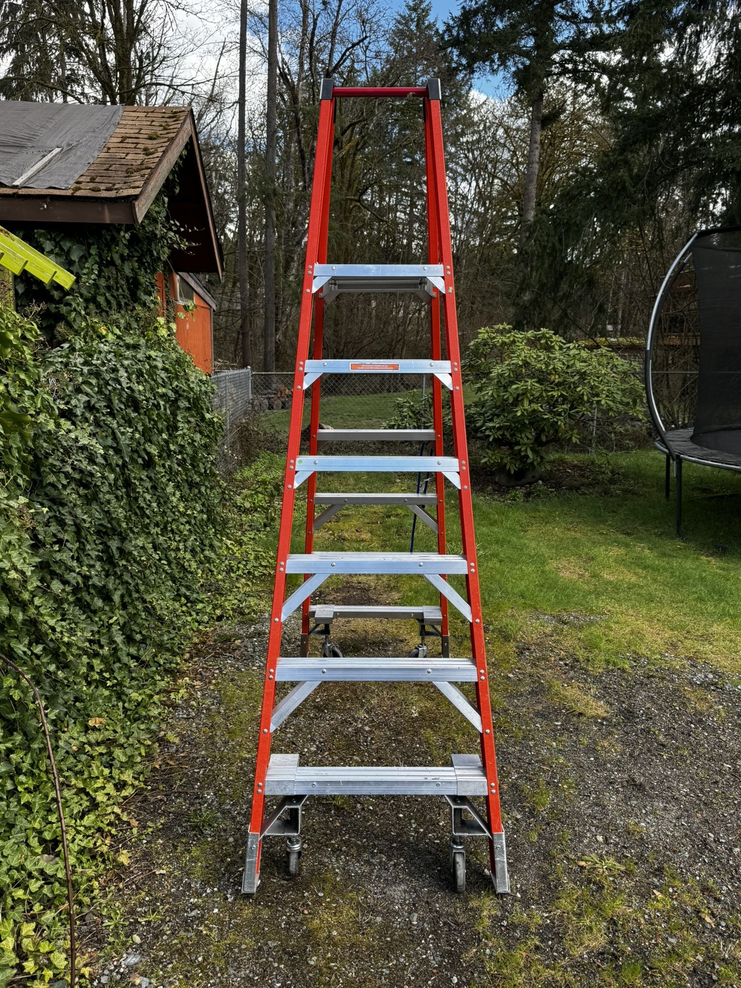 Werner Platform Ladder
